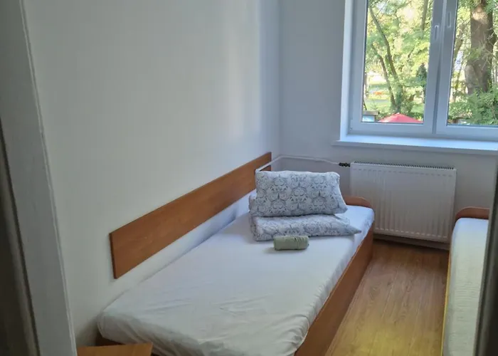 Galeona - Turystyczny * Elbląg